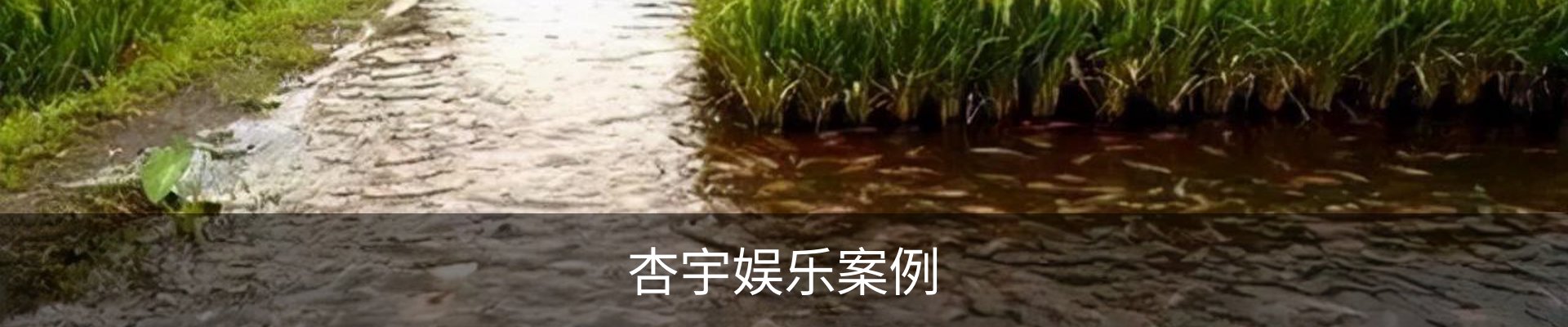 杏宇娱乐案例